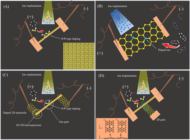 Illustration of doped 1D&2D components in this project (a) 1D components; (b) 2D devices and (c) 1D 2D heterojunctions and (d) FET devices using 2D:2D